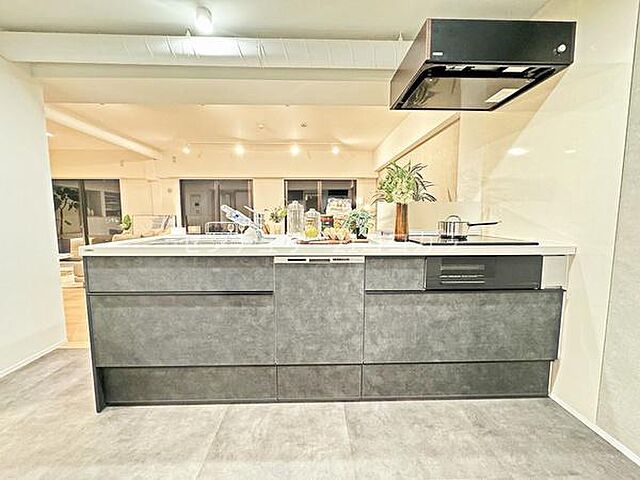 キッチン エグザガーデンブリーズ館 12階/-