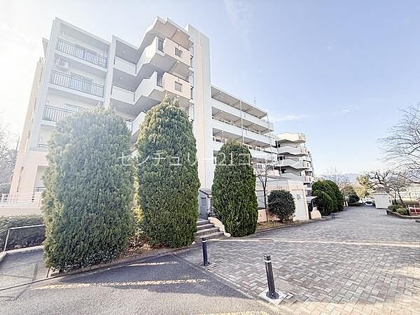 外観：313004605153