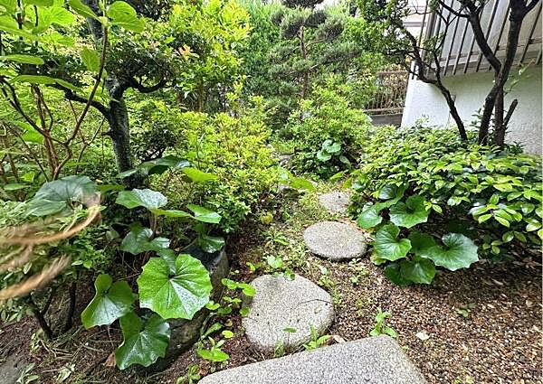 手入れの行き届いた和風庭園。石畳や植栽が配置され、ガーデニング等楽しめます。