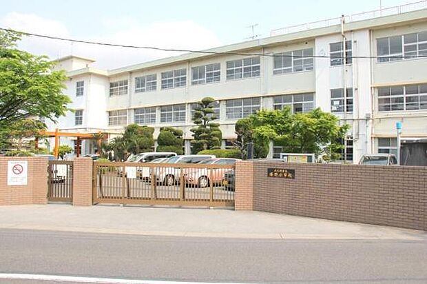 北九州市立塔野小学校まで805m
