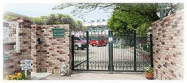 八幡みなみ幼稚園まで1036m