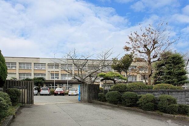 直方市立新入小学校まで1162m