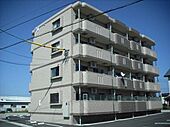 アミリアコートのイメージ