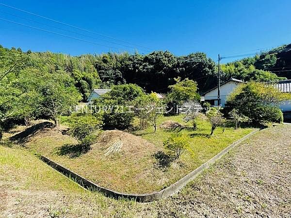 外観：345000036253