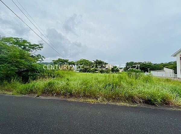 道路に面した現地土地写真です。周囲には緑が広がり閑静な雰囲気を感じられます。広々とした敷地で多様な活用が期待できます。空の広がりが印象的な一枚です。
