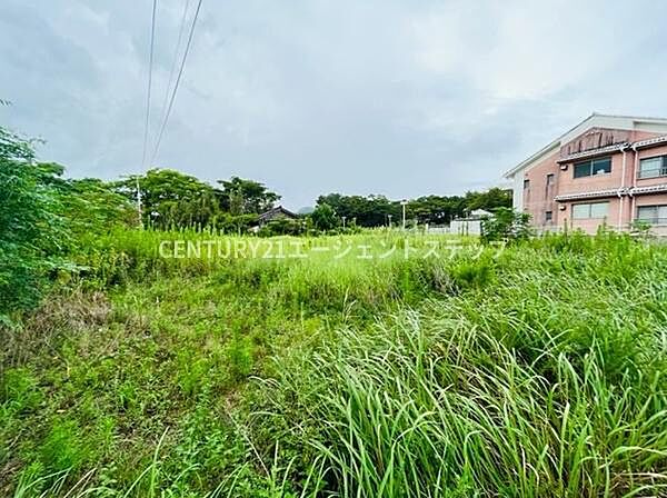 周囲に自然が広がる開放的な現地土地写真です。緑が豊かで周辺には建物が点在しています。空が広く感じられ落ち着いた環境が魅力です。隣接する建物も見え住環境のイメージが持ちやすいです。