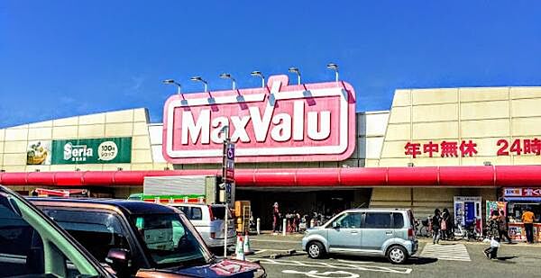 マックスバリュ安田店まで1119m