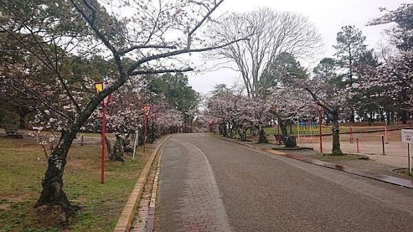 日岡山公園まで1437m