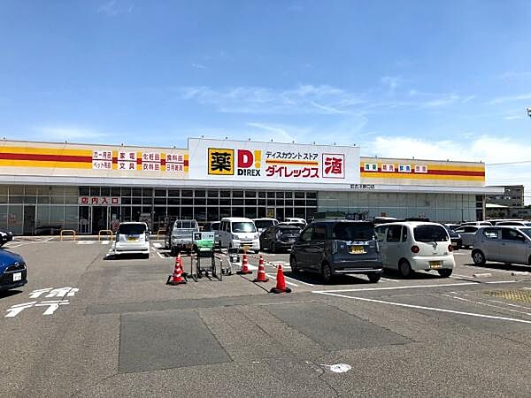 ダイレックス加古川野口店まで1200m