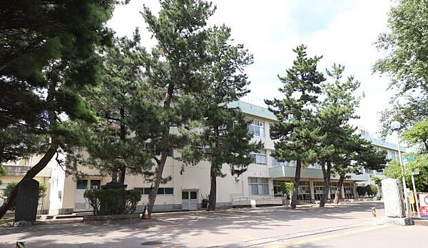 新潟市立内野小学校まで306m