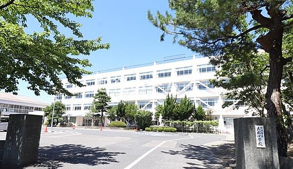 新潟市立大形小学校まで1214m