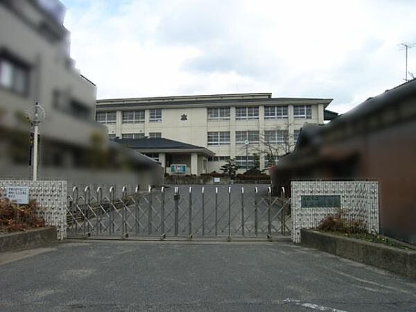 桜井市立大三輪中学校まで229m