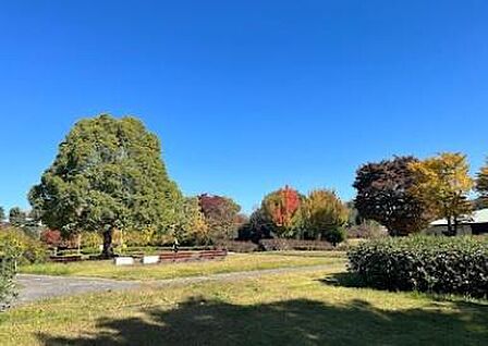 早稲田公園まで313m