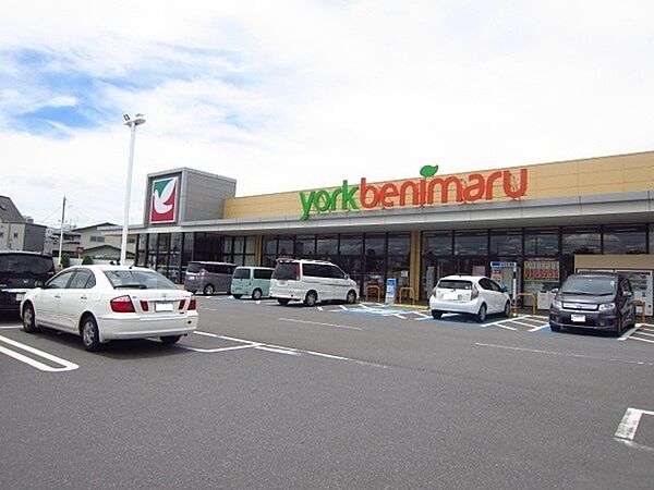ヨークベニマル牛久南店まで1222m