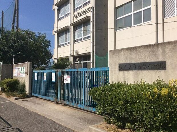 堺市立浜寺東小学校まで1063m