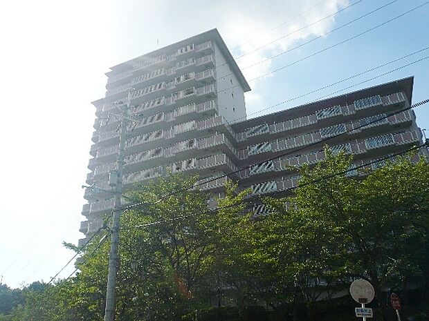 パークハウス猪名川壱番街Ｂ棟(4LDK) 3階の外観