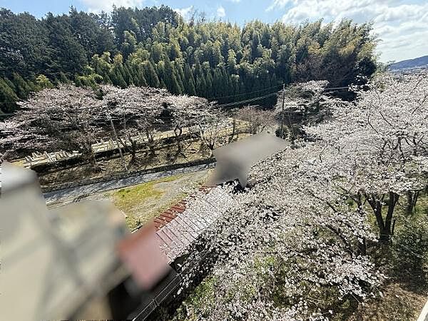 バルコニーからの眺望