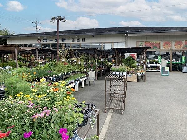 ホームセンターコーナン宝ケ池上高野店まで853m、DIYの強い味方　園芸・家具・日用雑貨など幅広い品揃えです。