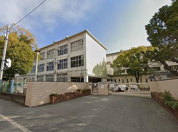 四條畷市立くすのき小学校まで1016m