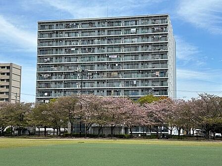 御崎公園から見た外観