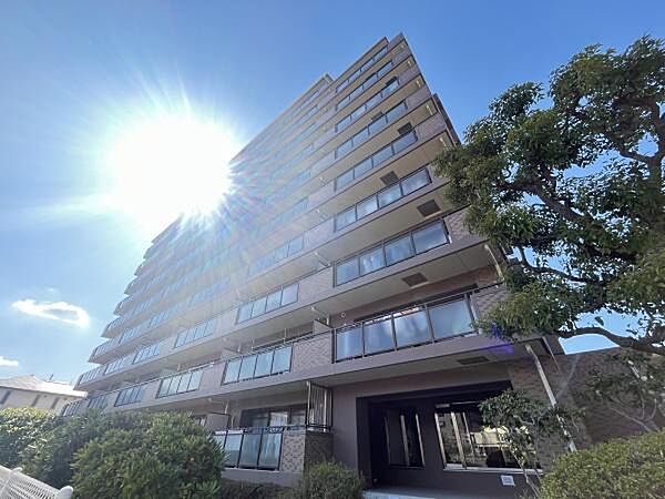 外観：327002224336