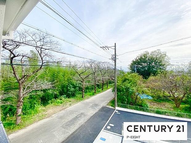 見晴らし良好です!