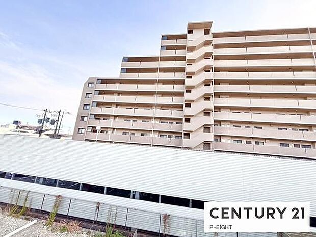 現地から見た眺望です！