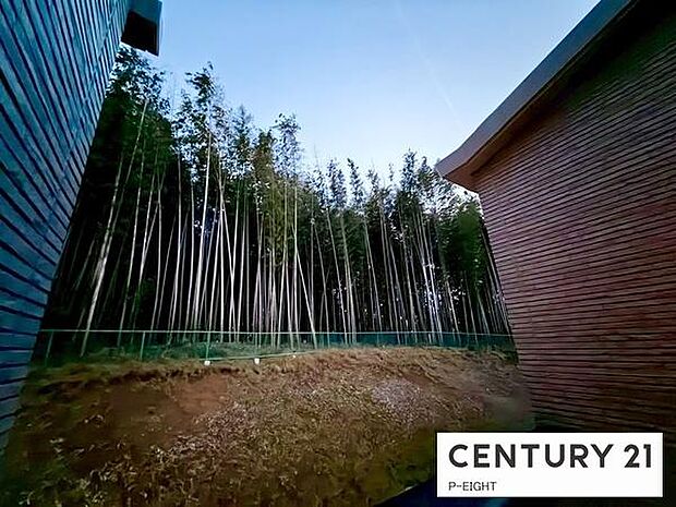 現地から見た眺望です！