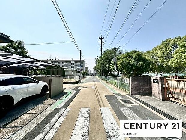 アスファルト舗装の道路です!