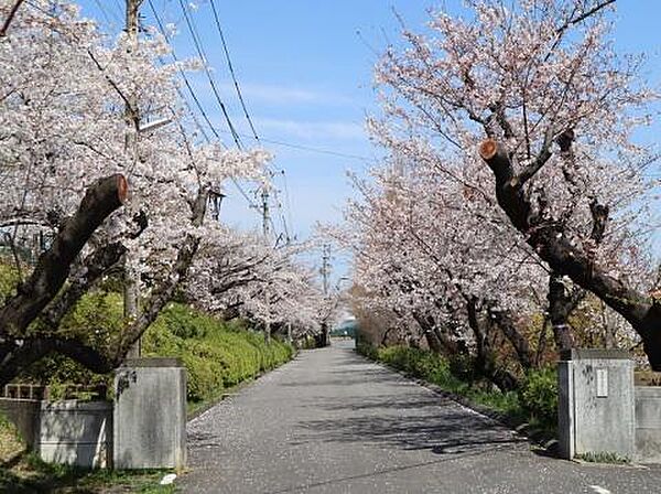 大府市立大府中学校まで1900m、現地から1900m