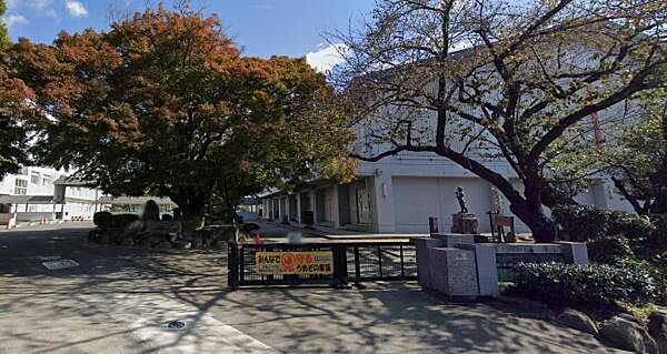 岡崎市立梅園小学校まで600m、現地から600m