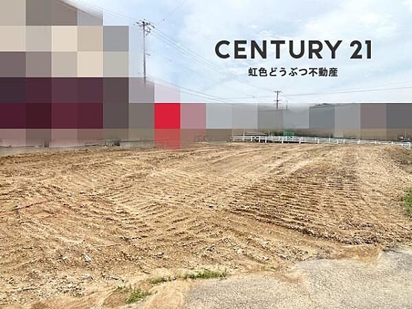 外観：323000488709