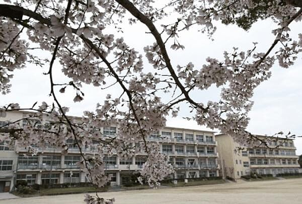 岡崎市立葵中学校まで1000m、岡崎市立葵中学校まで徒歩約13分