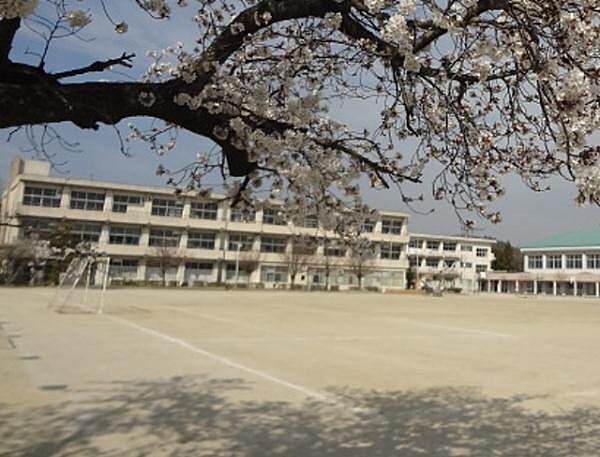 岡崎市立根石小学校まで270m、現地から270m