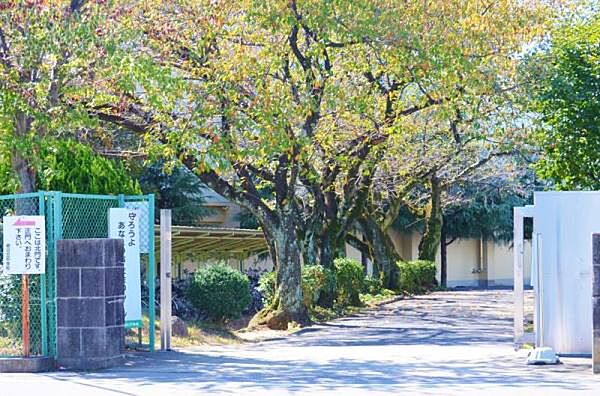 豊田市立朝日丘中学校まで300m、現地から300ｍ