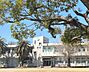 周辺：国立愛知教育大学附属岡崎小学校まで180m
