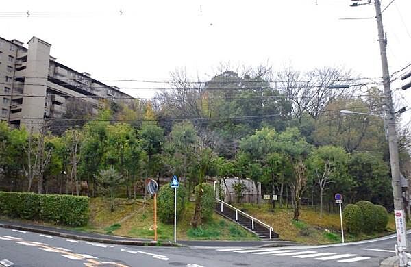 新芦屋中央公園まで320m