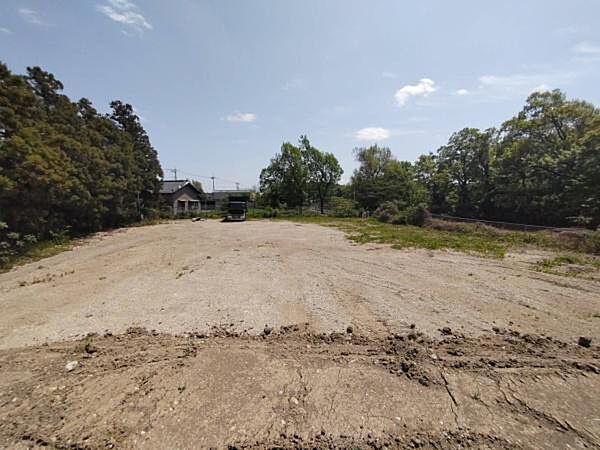 外観：312001032389