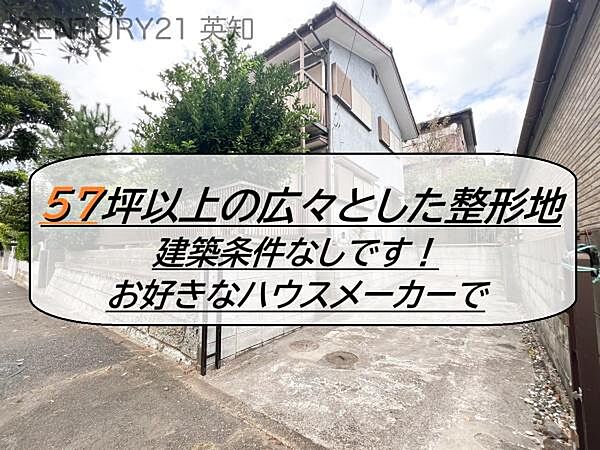 外観：312001305166