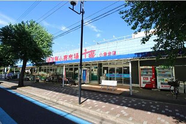 生鮮小売市場千城小倉台店まで322m