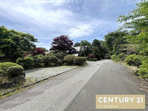 前面道路の様子です。