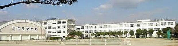 豊橋市立羽田中学校まで1140m