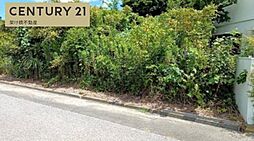 愛知県豊橋市野依町字新切