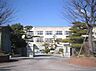 周辺：豊橋市立東田小学校まで711m、豊橋市立東田小学校