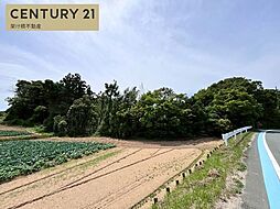 愛知県豊橋市細谷町字坂東堀