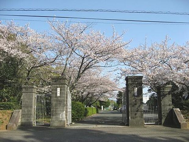 豊橋市立青陵中学校まで1981m、豊橋市立青陵中学校