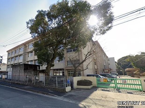 鹿児島市立桜丘中学校まで650m