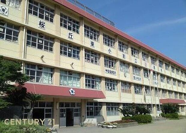 鹿児島市立桜丘東小学校まで800m