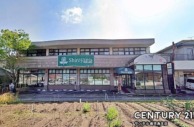 城山ストアー城山店まで500m