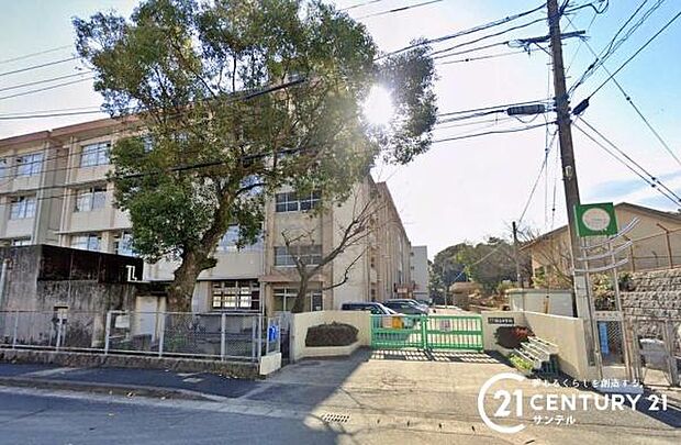 鹿児島市立桜丘中学校まで800m